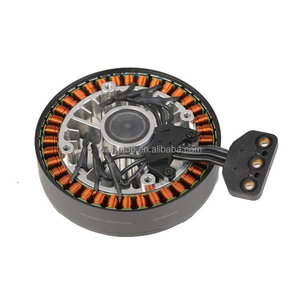 Agras T20 Motor 10015 Brushless Propulsion System motor Spare Parts for Agricultural Sprayer <b>Drone</b> Repair <b>Accessories</b> - Product Image 1