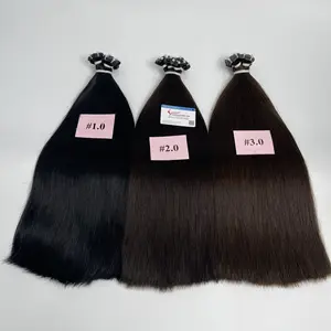 Vente Flash Trame de génie Facile à attacher Personnaliser la couleur Extensions de cheveux humains vietnamiens Plusieurs longueurs