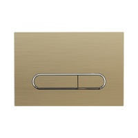 Panel Tombol Tekan Toilet Fabia CE Standard Modern Oval Dual Flush Warna Emas Matt untuk Kustomisasi Proyek Cistern Tersembunyi