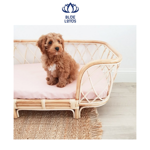 Cama para Mascotas de Ratán - Product Image 1