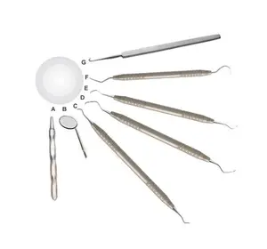 Best Care Veterinary Surgical Instruments Set Veterinary Dental Canine Periodontal Set High Quality