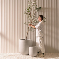 2023 nouveau Design coloré succulente planteur en céramique Pot plante Pots de fleurs Pots en céramique pour plantes d'intérieur