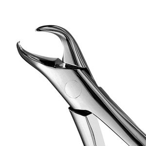 Hot Selling Manual Dental Forceps Customized 2025 <b>Heavy</b> <b>Duty</b> Extracting Instrument High Quality Medical Instrument for Export - Product Image 2