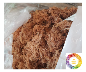 Pure Vietnam Sea Moss Eucheuma Cottonii Superfood d'algues irlandaises séchées pour la peau et la santé Vente en gros Exportation de mousse de mer de haute qualité - Product Image 4