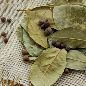 การทำอาหารใบกระวานแบบพรีเมี่ยม/สมุนไพรปรุงรสจากธรรมชาติ/ใบแห้ง/เกรดส่งออกคุณภาพ - Product Image 6