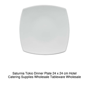 Plato para Cena Saturnia Tokio 24 x 24 cm, Suministros para Hostelería, Vajilla al por Mayor - Product Image 2
