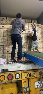 VIETNAM <b>FRESH</b> <b>GINGER</b> BUFFALO <b>GINGER</b> HIGH GRADE WHOLESALE OMQ 60 TON FROM VIETNAM - Product Image 5