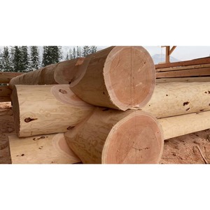 Bûches rondes en vrac durables, haute résistance, bois dur prêt à l'exportation - Product Image 4