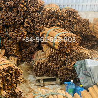 Haute Qualité CASSIA CANNELLE BÂTON Fleurs Séchées Style du Viet Nam-Vente en gros à prix bon marché