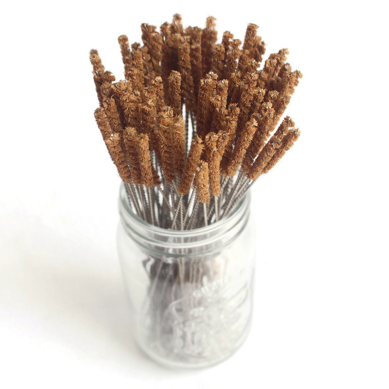 ธรรมชาติ