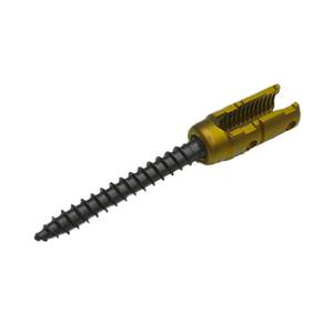 สกรูกระดูกสันหลังไทเทเนียมแบบหลายแกน ทนทาน ราคาโรงงาน คลาส 1 สำหรับการผ่าตัดกระดูกและข้อ ขายส่งจากเยอรมันโดย Lore - Product Image 4