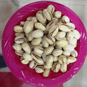 Pistachos Secos Naturales Orgánicos de Alta Calidad al por Mayor, Refrigerios Crudos Premium a Granel, 10 kg/caja, Calidad de Exportación - Product Image 4