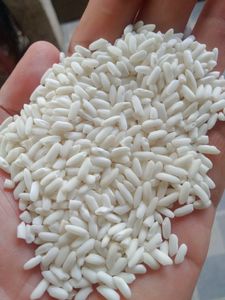 Riz gluant premium | Collant, parfumé, de haute qualité pour la cuisine et les desserts | Approvisionnement en vrac [K] - Product Image 3