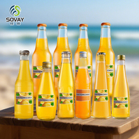 Bouteille de Boisson en Verre Transparent 250ml 330ml 500ml, Bouteille de Bière en Verre Vide Ronde, Bouteille Premium pour Eau Gazeuse et Jus