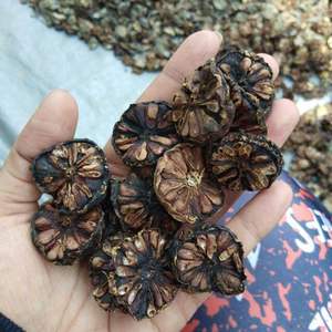 ผลไม้โนนิตากแห้งแบบพรีเมี่ยมชิ้นโนนิธรรมชาติ100% สำหรับชาสารสกัดจากสมุนไพร - Product Image 3