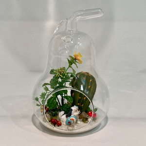 HCH0708 - กระถางแก้วทรงลูกแพร์ - 8H - Product Image 5