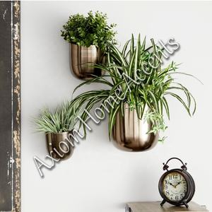 Axiom Home Accents Maceta de cerámica para interiores con acabado brillante y orificio de drenaje para sucentos y flores Ideal para uso en el jardín - Product Image 1