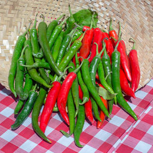 Chile Ojo de Pájaro Fresco de Grado de Exportación, Proveedor de Vietnam, Chile Rojo Picante, 30 kg/paquete, Venta al por Mayor - Product Image 5