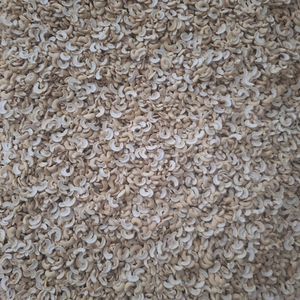 Noix de cajou cassées en vrac en gros SANTIGO à vendre – Service 24h/24 et 7j/7 - Product Image 1