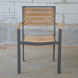 Meubles de Offre Spéciale Chaise Cattalina Gris Couleur: avec Accoudoir Chaise de salle à manger Élégant et pratique pour l'intérieur ou l'extérieur de la salle à manger - Product Image 1