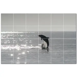 Mural de pared de azulejos de cerámica Dolphin PT500504 36 "W X 24" H Juego de 24 azulejos 6x6 - Product Image 1