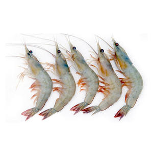 Camarones Vannamei Congelados Premium, Camarones Criados en Granja, Exportación al por Mayor - Product Image 3