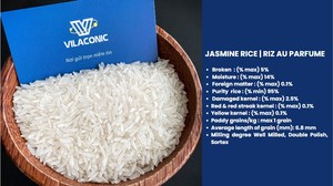 ข้าวจัสมินเนื้อนุ่มแบบแห้งกลุ่มวิลาโคนิกพืชเก่าขายในแอฟริกาตลาดตะวันออกกลาง + 84 796 283 855 (Mr. Brian) - Product Image 3