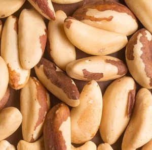 Nueces de Brasil Orgánicas Naturales y Saludables, Suministro al por Mayor - Product Image 6