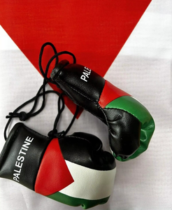 Llavero colgante de artículo de regalo para club infantil con bandera de Palestina, Mini guantes de boxeo, empuñaduras de mano con cordones, par de espejos de coche a prueba de viento - Product Image 5
