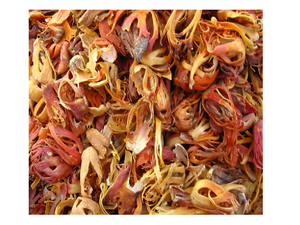 Worldwide Supplier of Excellent Quality Dried Raw Mace Flower Warm Aromatic Flavor <b>Single</b> <b>Spices</b> & <b>Herbs</b> for Sale - Product Image 5