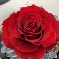 Roses éternelles en gros, surprise luxueuse pour la Saint-Valentin, la remise des diplômes, Halloween, la fête des pères, cadeau personnalisé en couleur et en taille