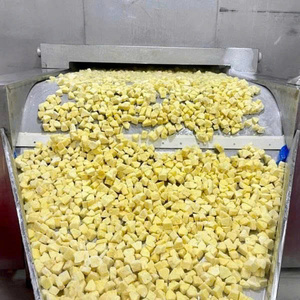 Garniture de fruits d'exportation en vrac ananas congelés écologiques à prix compétitif - Product Image 4