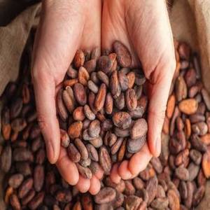 Factory Supply Indonesian Raw Cocoa <b>Beans</b> Certified Sun Dried Fermented Natural Long Shelf Life 1 KG Large Volume Wholesale - Product Image 1