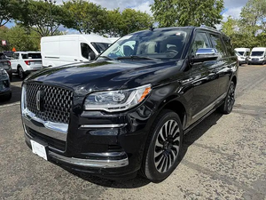 LIMPIA 2022 L l n C o I n N a V L G a t o r B l a c K Labl - Product Image 2