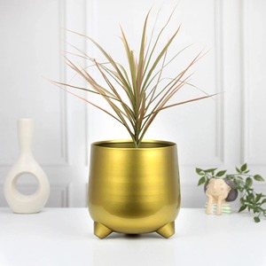 Modern <b>Raised</b> Metal <b>Planter</b> with Smooth Powder Coated Grey Finishing Perfect for Compact Living Room Plant Styling - Product Image 4