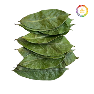 Feuilles de corossol séchées brutes vietnamiennes en gros pour la production de thé, processus de séchage rapide - Product Image 1