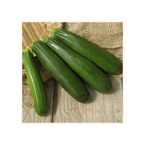 Bí xanh tươi và ZUCCHINI Trắng dưa chuột giá tốt để bán - Product Image 5