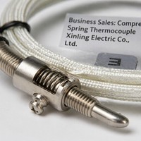 C-lin Termokopel Pegas WRET-01 Kabel 1m Sensor Suhu Skala E/K Bahan Tidak Ada Buatan di Cina