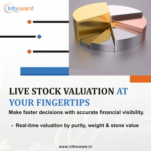 Software de Gestión de Inventario Versión Internet con Tecnología RFID para Joyería, Sistema de Control de Existencias - Product Image 3