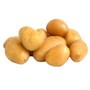 Wholesale <b>Fresh</b> <b>Potatoes</b> High Quality with Cheap Price Per Ton 10 Ton MOQ 4 Months Shelf Life - Product Image 2