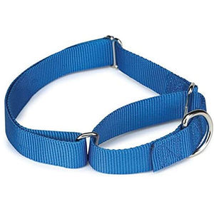 Collier pour chien écologique réglable avec laisse en nylon confortable doublée, taille et couleur personnalisables, option cuir, pas cher - Product Image 5