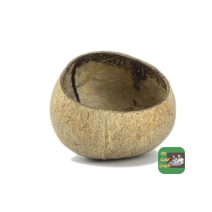 วัสดุเปลือกมะพร้าวดิบจากเวียดนามสำหรับงานหัตถกรรมชีวภาพและการผลิตผลิตภัณฑ์เชิงนิเวศ - Product Image 4