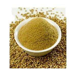 Poudre de coriandre de haute qualité pour l'agriculture, pour les currys, les chutneys et plus encore - Product Image 1