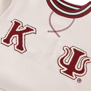 เสื้อสเวตเชิ้ตผ้าฝ้าย Alpha phi Psi Sorority ระบายอากาศได้ดี ทรงปกติ สีทันสมัย ใส่ได้ทุกวัน สวมใส่สบายทุกฤดู รับสั่งทำ - Product Image 3