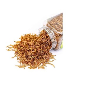 Gusanos de sangre liofilizados Ornamental Comida para peces tropicales Snack - Product Image 1