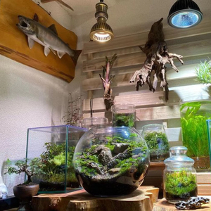 TSKUYOMI 10W Akadamachan LED Aquarium Lumière pour Aquariums Plantés Ra97 CRI 4000K-5000K Couleur Temp 20000 Heures Durée de Vie E26 Base - Product Image 1