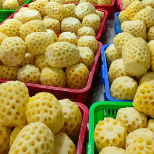 Pulpa de Piña Congelada, Pulpa de Fruta Natural, Base Perfecta para Mezclas de Confitería, Producción de Bebidas, Origen Vietnam - Product Image 1