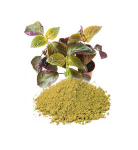 Polvo de hoja de perilla: polvo de calidad premium de Vietnam - Product Image 2