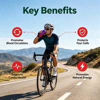 Poudre de Betterave OEM Naturelle – Mélange de Boissons Énergisantes à la Betterave – Complément Alimentaire pour la Gestion de l'Énergie et le Soutien Antioxydant – Riche en Bétalaines