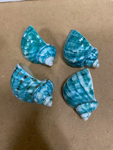 Servilletero de concha pulida, artesanías naturales para uso decorativo en restaurantes de 99 DATOS dorados - Product Image 4